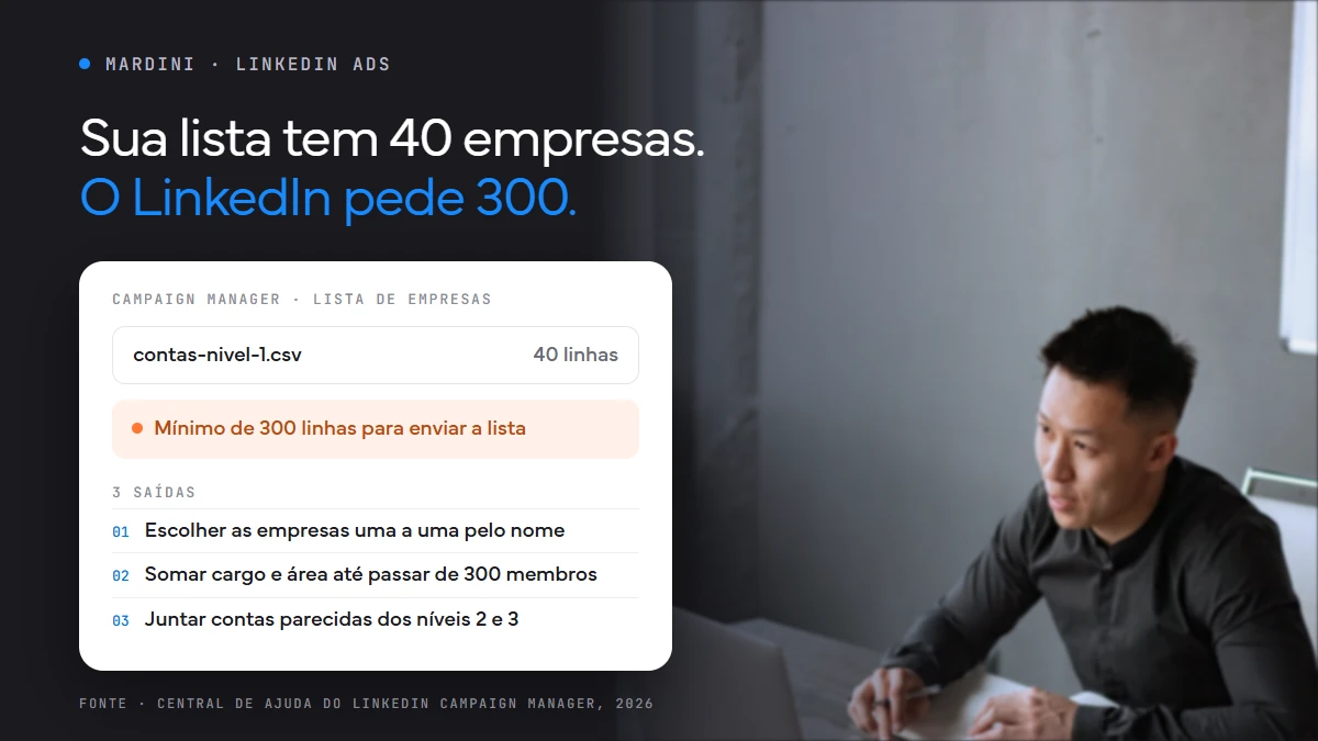 Lista de 40 empresas recusada pelo LinkedIn por ter menos de 300 linhas e as três saídas possíveis